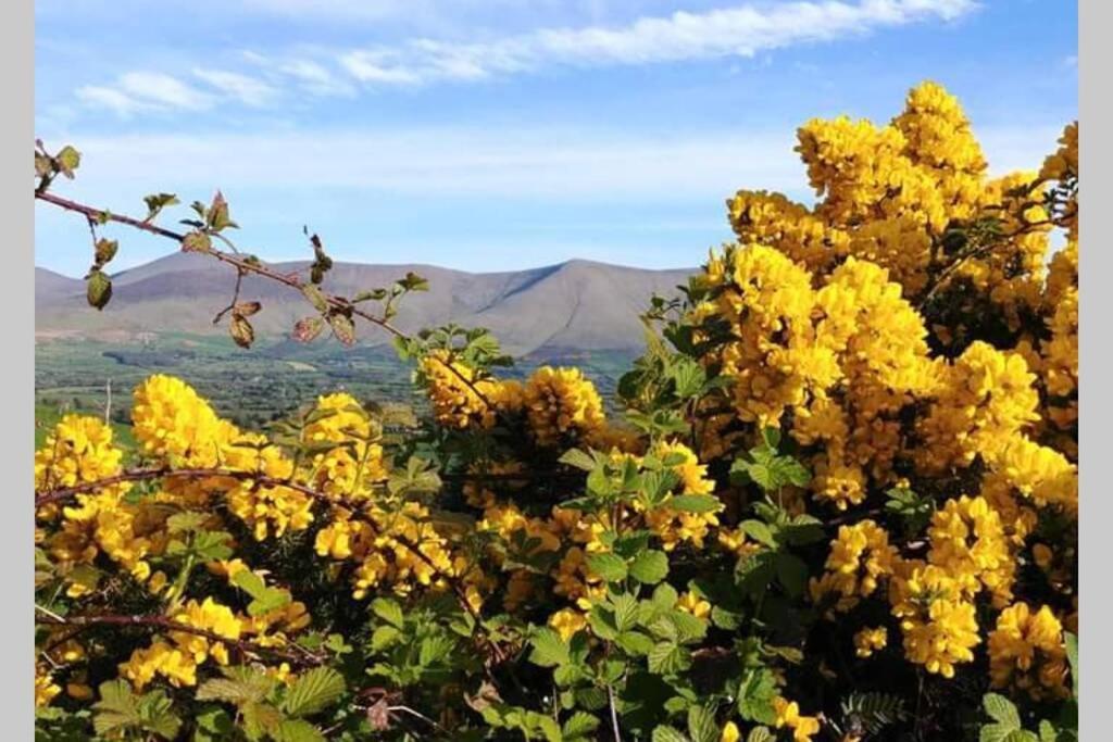 Corderry Farmhouse, Idyllic Cottage Amid 250 Acres Lisvernane Esterno foto