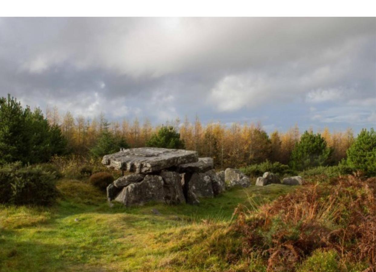 Corderry Farmhouse, Idyllic Cottage Amid 250 Acres Lisvernane Esterno foto